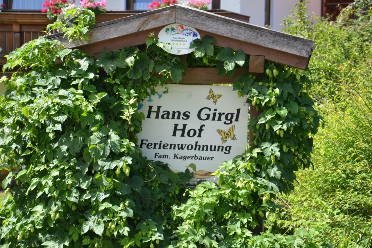 Appartamento Hans Girgl Hof Langdorf  Esterno foto