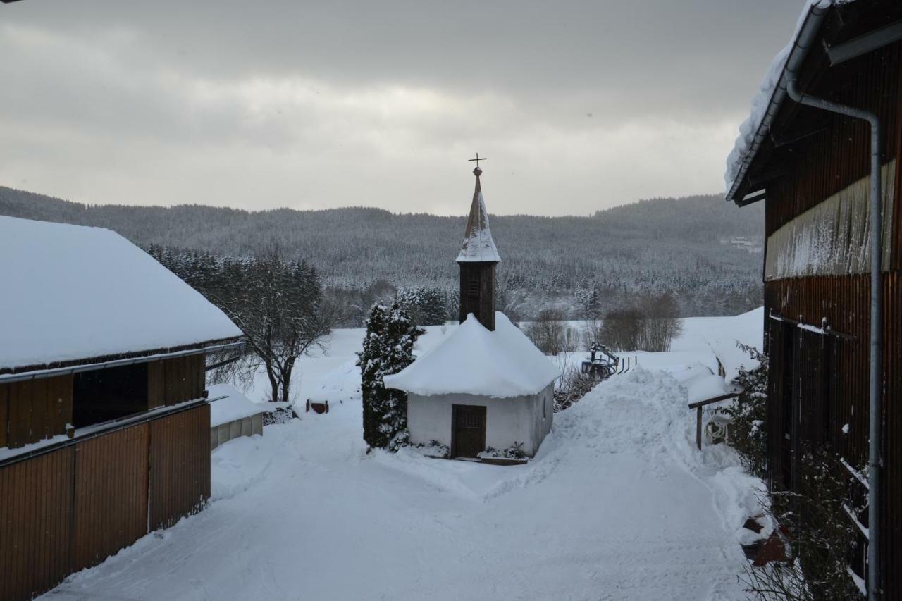 Appartamento Hans Girgl Hof Langdorf  Esterno foto